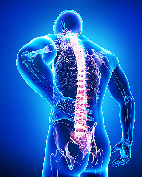 istock male back pain anatomy in black 461998571
