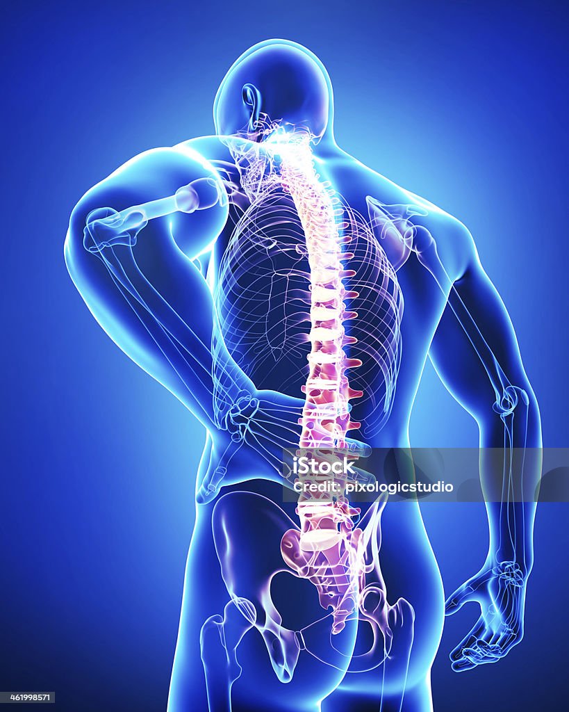male back pain anatomy in black Illustration of male back pain anatomy in black Anatomy Stock Photo