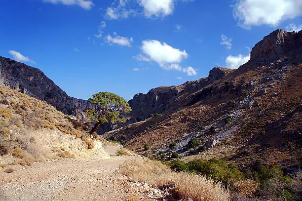 The road in gorge Deliana on the island of Crete