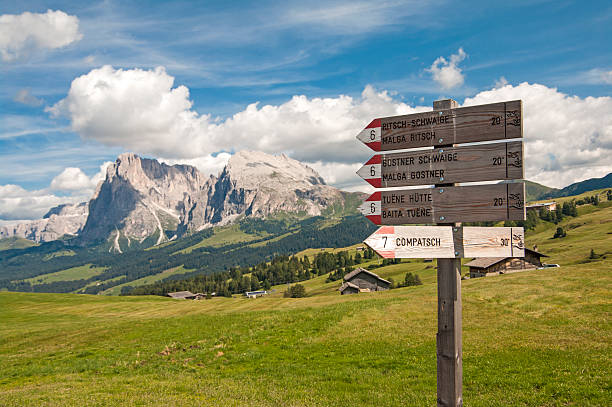 istock trekking on Alpe di Siusi, South Tyrol 462005929