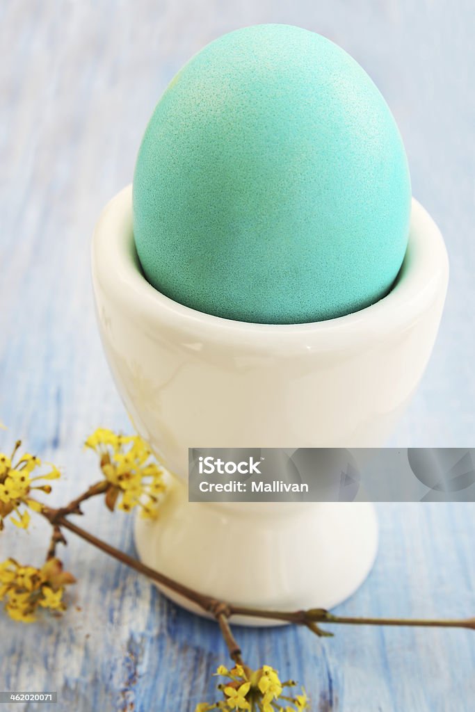 Turquoise egg Turquoise egg in a white ceramic stand on the board Blue Stock Photo