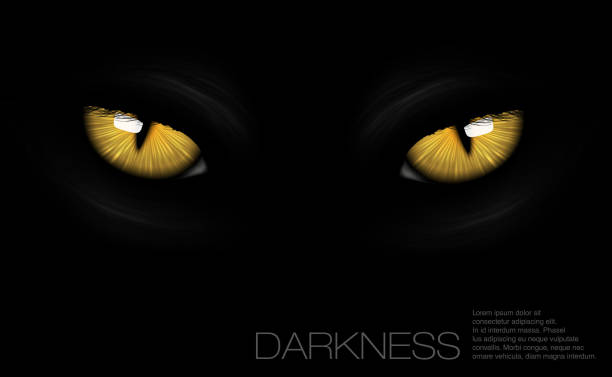 katze augen in darkness - tierisches auge stock-grafiken, -clipart, -cartoons und -symbole