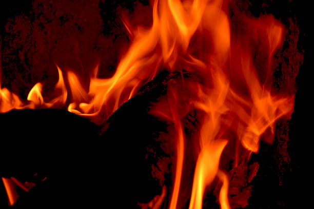 istock Close-up of Campfire 462025819