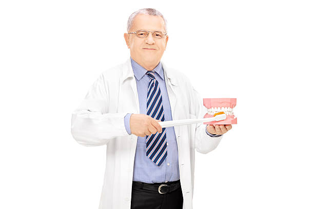 istock Male dentist holding a denture and toothbrush 462026853