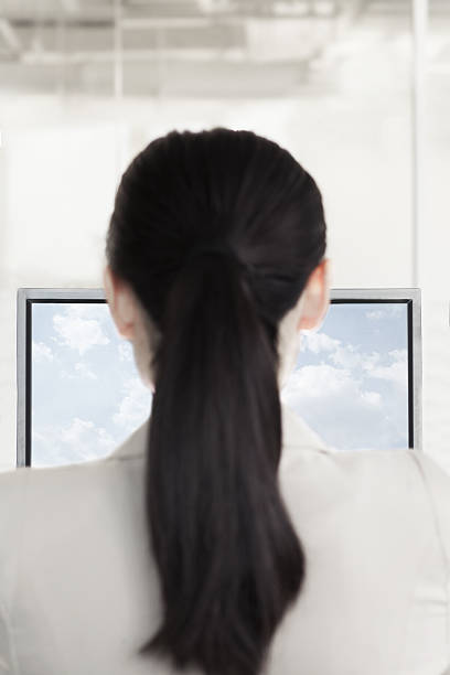 istock Businesswoman sitting in front of a computer 462027511