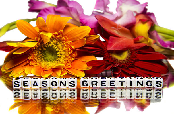 istock Seasons greetings with mixed flowers 462030665