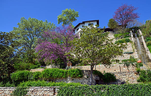 istock House by black sea in Balchik, Bulgaria 462030963