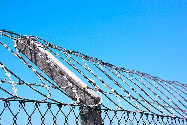 istock Coiled Razor Wire Fence Against Blue Skyline 462033455