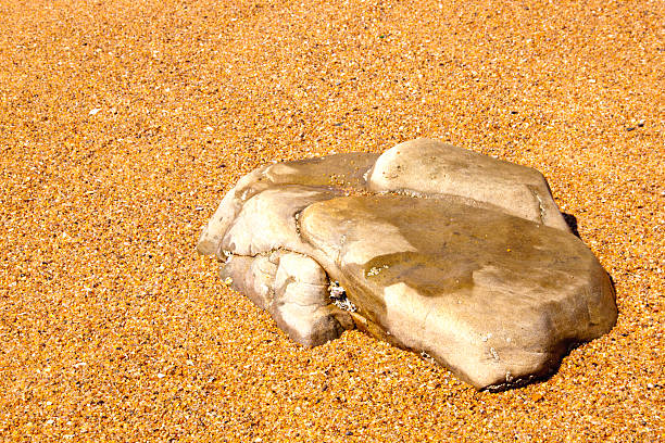 istock Flat Tip Of Rock Protruding From Sand On Beach 462033505
