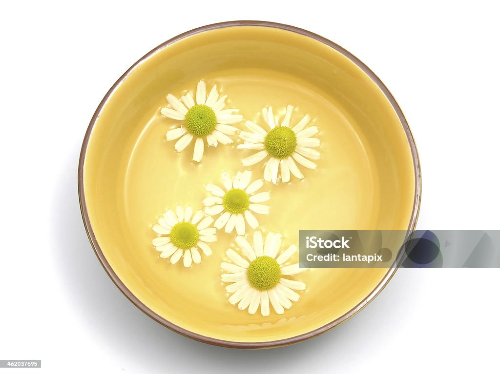 Camomille fleurs Faites quelques longueurs dans l'eau d'un bol en céramique - Photo de Arbre en fleurs libre de droits