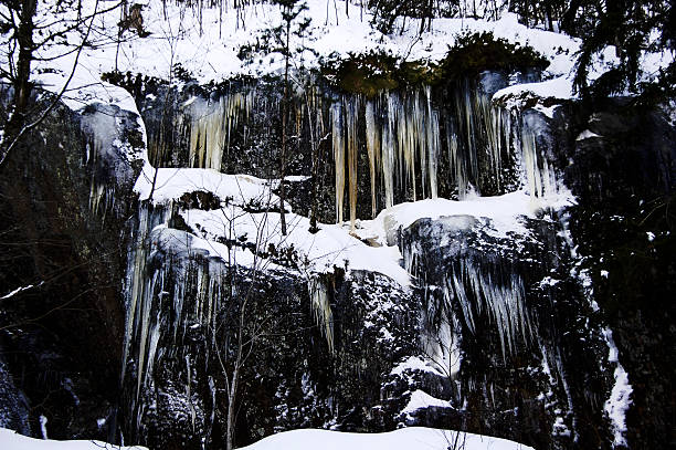 icicle stock photo