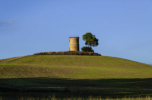istock Countryside, Bibbona, Tuscany 462038761