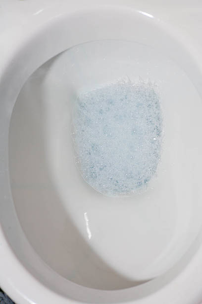 istock toilet bowl closeup blue water 462039031