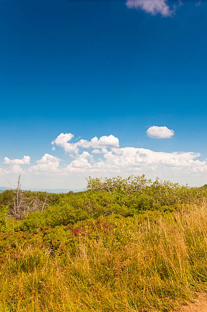 istock Polonina Wetlinska. Bieszczady Mountains. 462040571