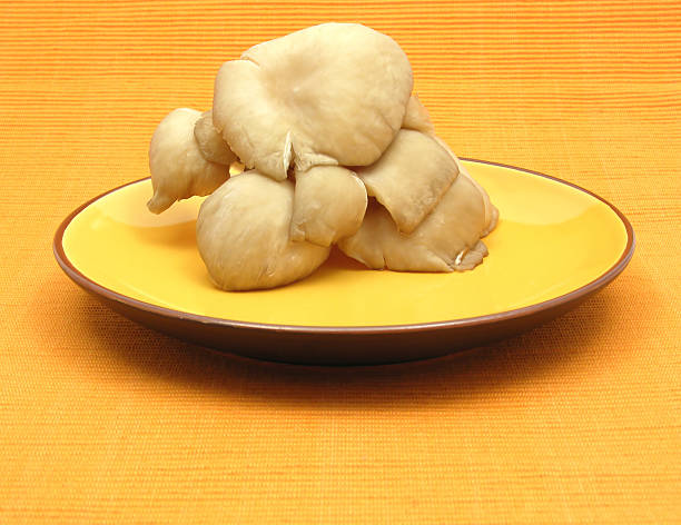 istock Oyster mushrooms on ceramic plate 462041853