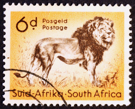 Southafrican vintage stamp of 1954 with a male lion