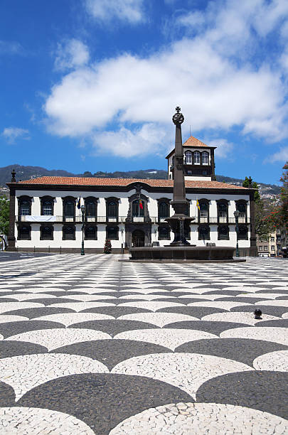 istock Funchal town hall square, Madeira 462042727
