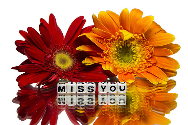 istock Miss you with flowers 462043025