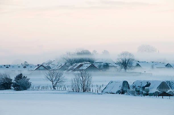 Winter stock photo