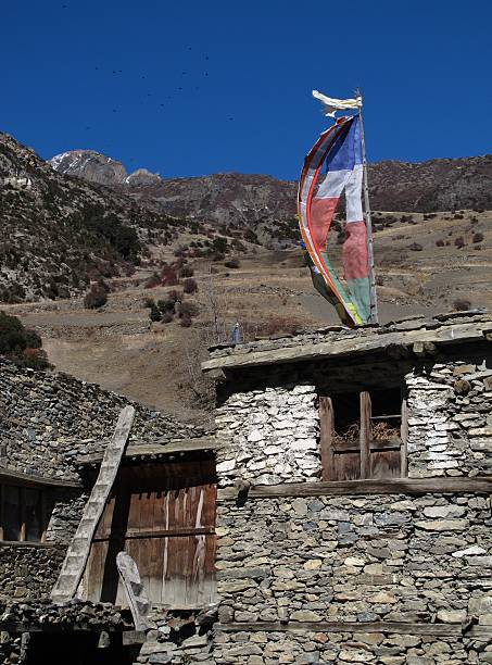 Prayer flags on a roof in Khangsar, Nepal