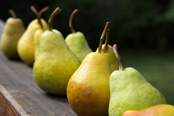 istock Sweet, Ripe, Organic Pears 462049825