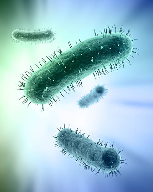 istock Scientific illustration of bacteria 462050623