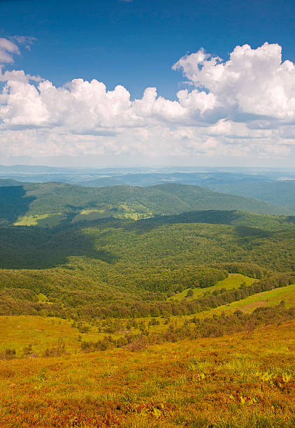 istock Polonina Carynska. Bieszczady Mountains. 462055617