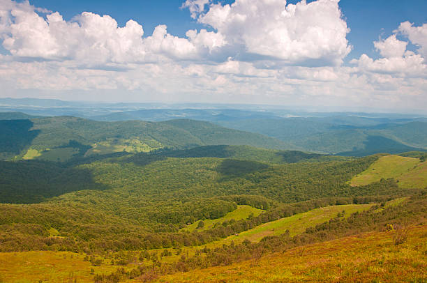 istock Polonina Carynska. Bieszczady Mountains. 462055743