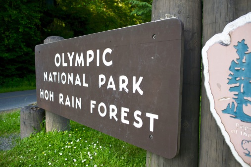 Olympic National Park - Hoh Rain Forest Wood Sign. Washington, United States.