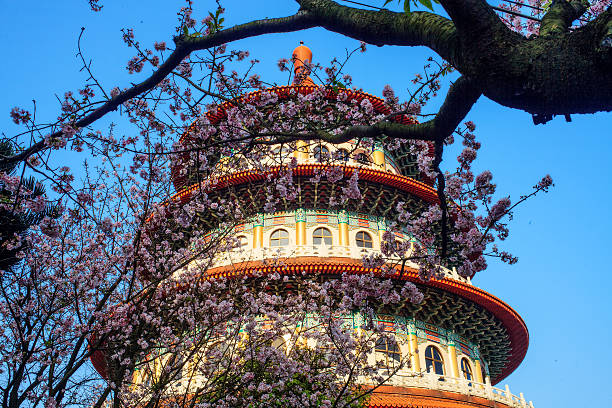 istock Cherry blossoms, Wuling Farm, Taiwan 462058673