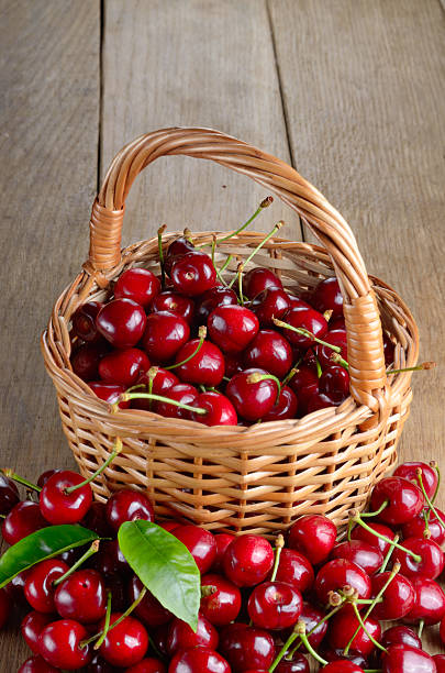 istock Basket of organic Cherries 462058681