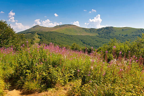 istock Polonina Wetlinska. Bieszczady Mountains. 462058957