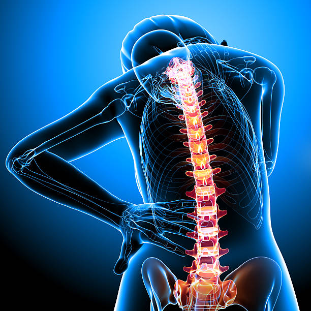 istock female back pain anatomy 462061017