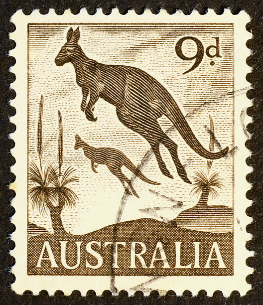 istock Two jumping kangoroos on a vintage australian stamp 462067031