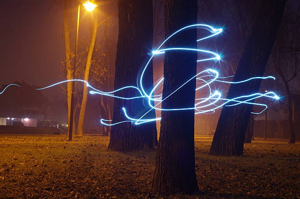 istock Magic light trails in an enchanted wood 462067119