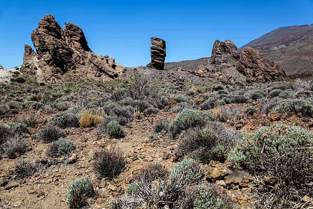 istock Teide National Park in Tenerife, Spain 462071615