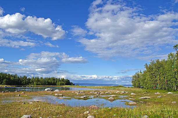 istock On the beach of  White sea 462078351