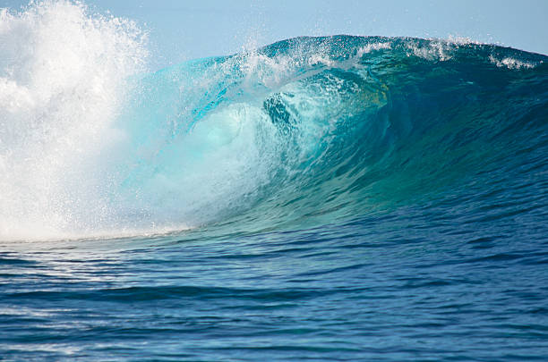 Pacific big wave - foto de acervo