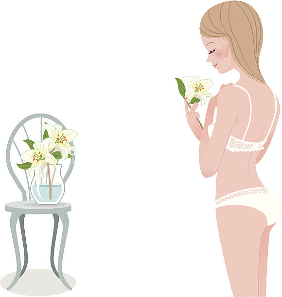 아름다운 젊은 여성 속옷 - panties underwear transparent women stock illustrations