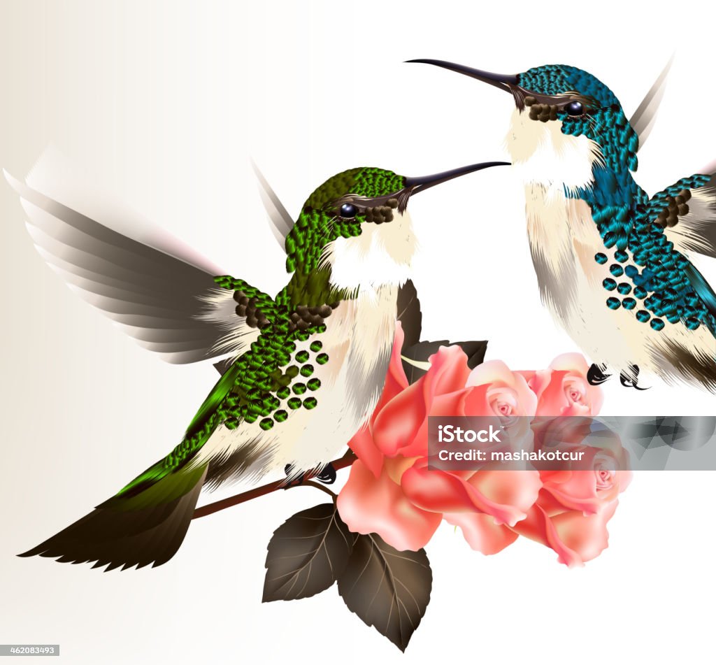 Ilustración de Linda De San Valentín Tarjeta Con Pareja De Humming Bird Y  Rosas y más Vectores Libres de Derechos de Colibrí - iStock