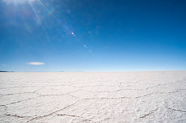 istock Bolivian salt flats during dry season 462084603