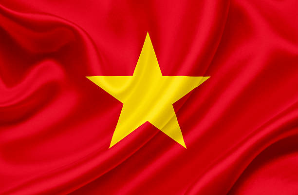 istock Vietnam waving flag 462091157