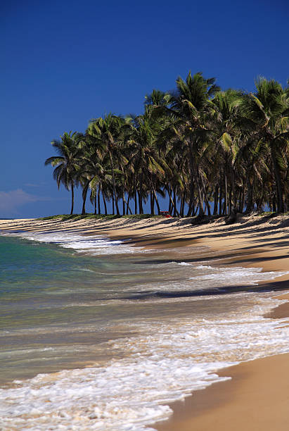 istock Gunga Beach, Maceio, North East Brazil 462091189