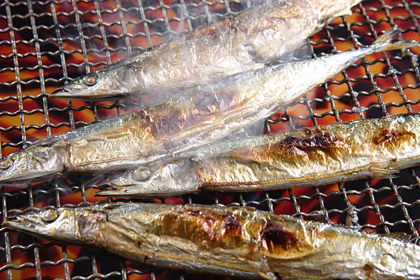 Photo of Pacific saury grilled with salt