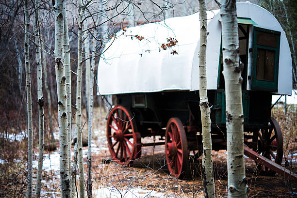 oregon trail wagon this is a photo of an antique wagon that was used on the oregon trail covered wagon horse cart snow winter stock pictures, royalty-free photos & images