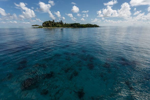 istock Tropical island rises on coral reef in Hol Chan Belize 462118461