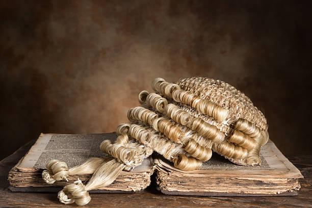 Genuine horsehair barrister's wig on an antique book (300 years old)