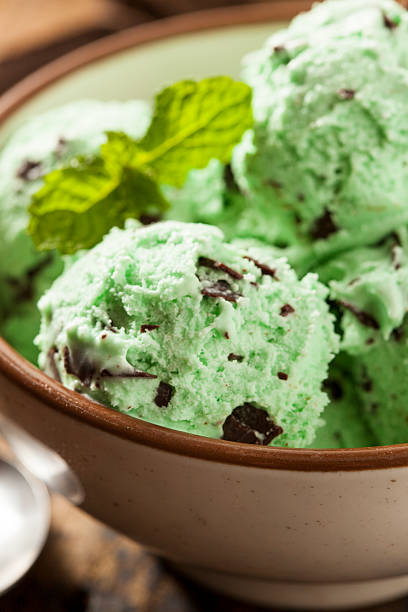 istock Organic Green Mint Chocolate Chip Ice Cream 462130757