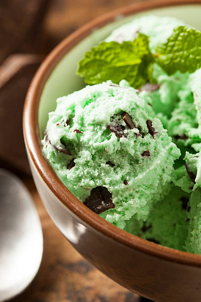 istock Organic Green Mint Chocolate Chip Ice Cream 462134293