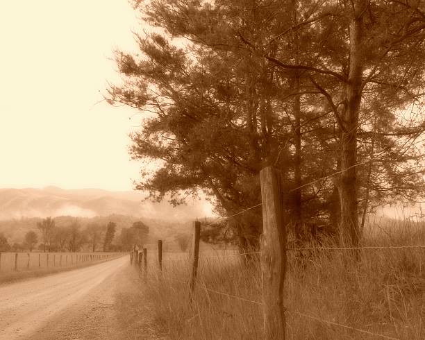 istock Gravel Road 462134333
